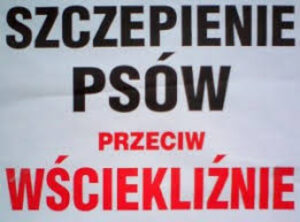 Miniaturka artykułu Informacja dotycząca obowiązku trzymania psów na terenie swojej nieruchomości oraz o szczepieniu psów przeciwko wściekliźnie