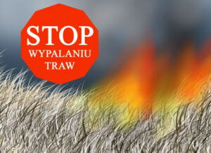 Miniaturka artykułu STOP WYPALANIU TRAW