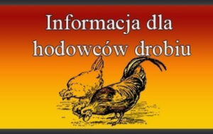 Miniaturka artykułu Informacja dla hodowców drobiu