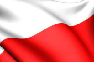 Miniaturka artykułu Odezwa Komitetu Honorowego Obchodów Święta Trzeciego Maja w województwie lubelskim