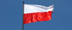 Miniaturka artykułu Odezwa Komitetu Honorowego Obchodów Narodowego Święta Niepodległości 11 Listopada w Województwie Lubelskim!!!