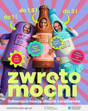 Miniaturka artykułu System kaucyjny