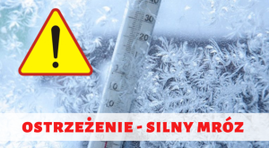 Miniaturka artykułu Ostrzeżenie o silnym mrozie z dnia 30 stycznia 2026 roku